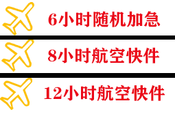 阿里昆莎机场物流快递公司,专业空运当天件